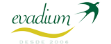 Logo-evadium-3x2-2006-mini